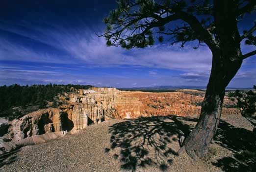 Bryce Canyon SF2.35 Photography art / top art galleries, London, New York City, Hong Kong, Paris, Rome - Link