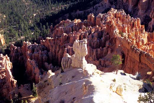 Bryce Canyon SF3.13 Photography art / top art galleries, London, New York City, Hong Kong, Paris, Rome - Link