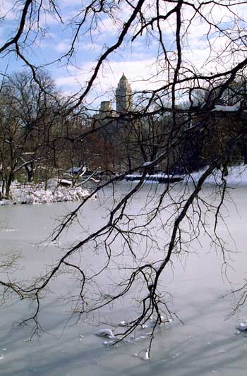 NYC F73-4 Photography art, top art galleries London, Paris, Rome, New York City, Hong Kong, Athens - Link